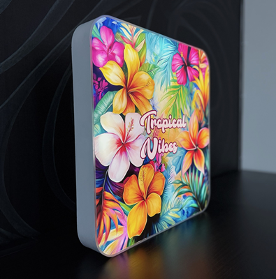 Custom Acrylic Lightbox