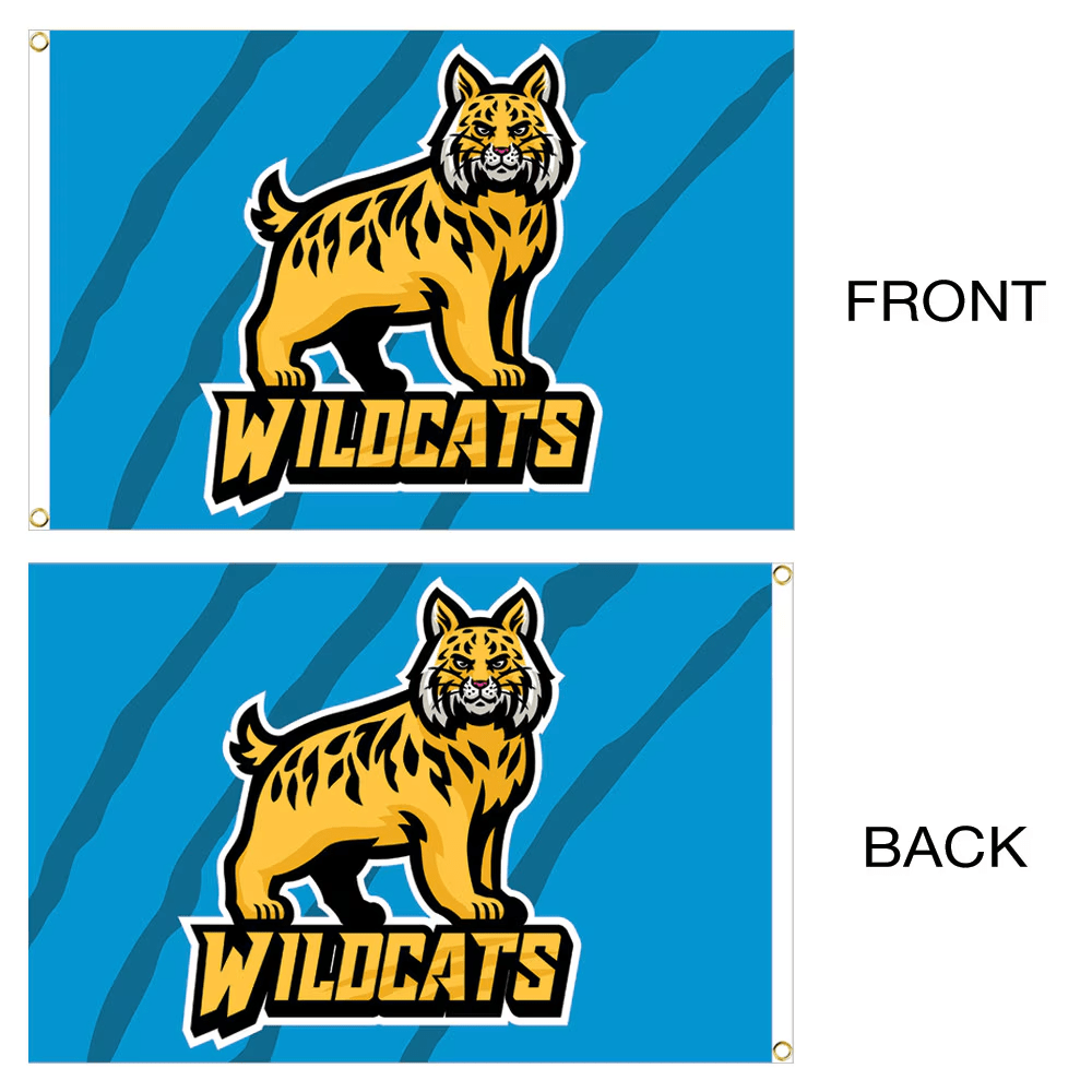 Custom Mesh Flags