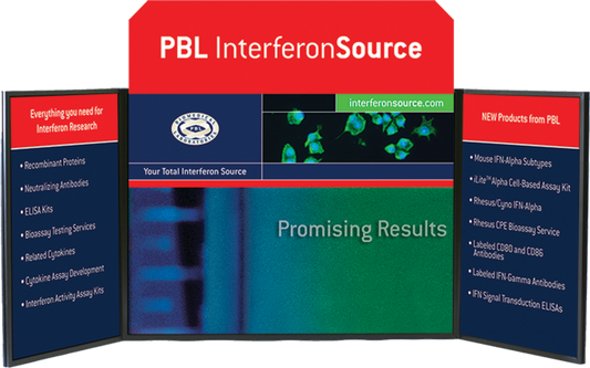 5ft x 2ft Voyager Supreme Folding Panel Display